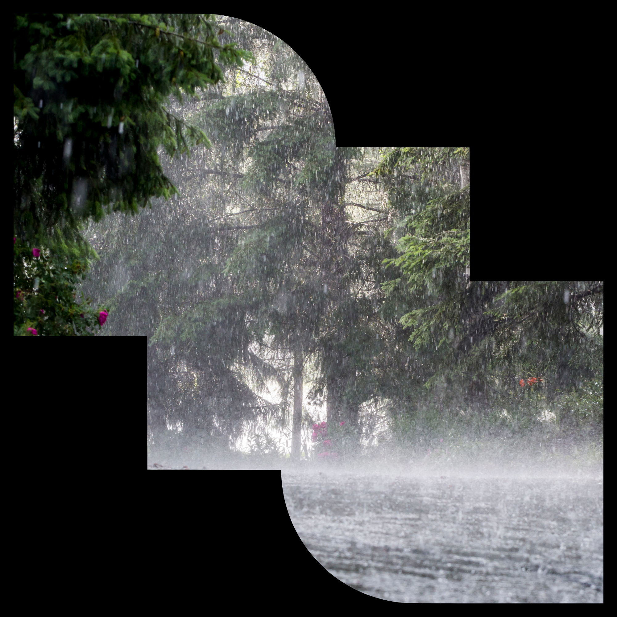 Pluie diluvienne